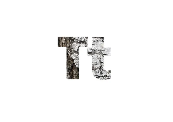 白樺の表面の背景画像 文字Tのカットアウトシルエットを通して撮影 — ストック写真