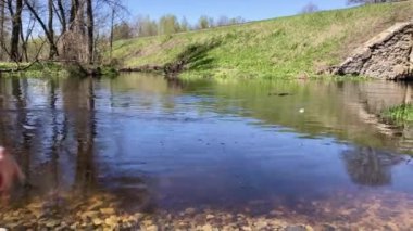 Taş kaymağını yiyor. Küçük bir kayayı atlamanın ve su yüzeyinden sekmenin güzel manzarası. Birçok kez suyun içinde yüzer ve nehre batar.