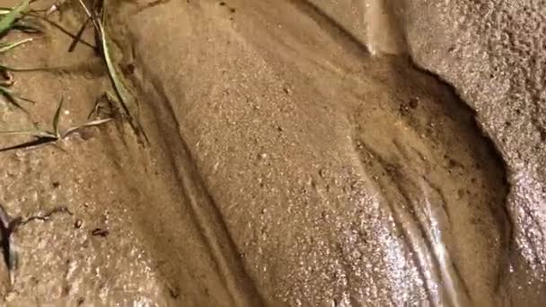 Kleiner Bach Fließt Durch Sand Und Kleine Steine — Stockvideo