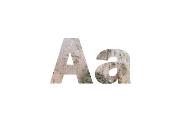 桦树树皮表面背景图像 在字母A的剪裁轮廓中拍摄 — 图库照片