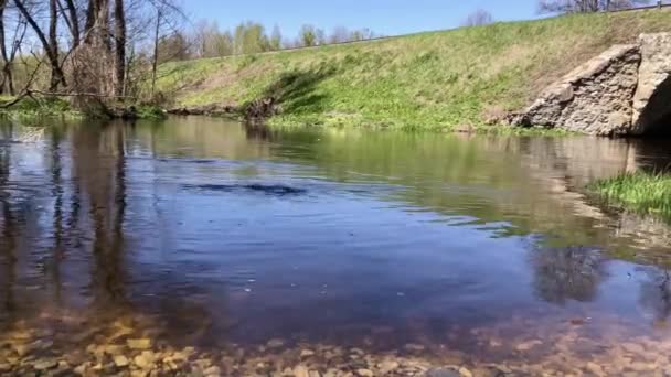 石は水中でスキミング 何度も水の体の間に水の表面を跳ね返り 川に沈んでいく小さな岩をスキップする美しい景色 — ストック動画