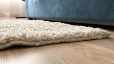 Genç bir kadın pencereden dışarı çıkar, çıplak ayakla pofuduk bir halıya çıkar ve yatağa tırmanır.