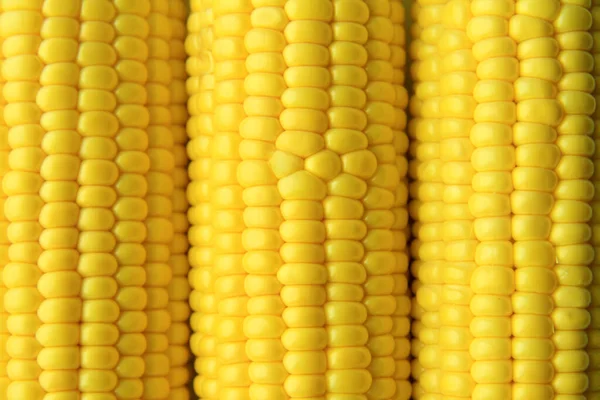 Üç tane genç mısırlı yakın çekim. Sarı, altın bir mısır tanesinin dokusu. Tarım kavramı. İnsanlar için doğal ve sağlıklı eko-gıda. Makro. Üst Manzara. Düz Yatay