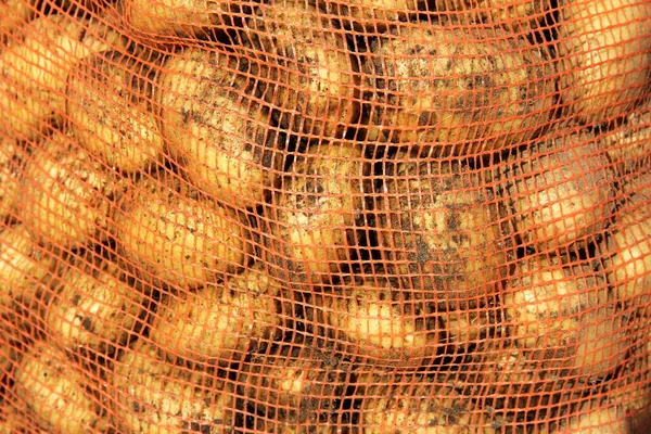 Crop Fresh Potatoes Grid Storage Close Texture Vegetable White New — Stock Photo, Image