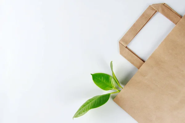 Ecology Eco Friendly Paper Bag Kraft Green Leaf White Background — Stock Photo, Image