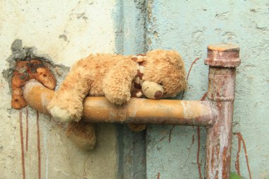 Kayıp, üzgün yüzlü yalnız bir oyuncak ayı, eski bir duvarın arkasında, bacada yatıyor ve terk ediliyor. Kayıp oyuncak ya da yalnızlık kavramı, uluslararası kayıp çocukların günü..