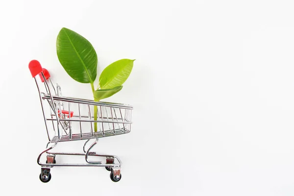 Miniature Shopping Cart Green Leaves White Background Concept Eco Shop — Stock Photo, Image