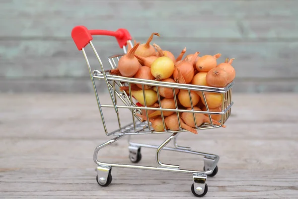 Lots Onions Can Planted Garden Collected Mini Shopping Cart Wooden — Stock Photo, Image