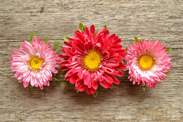 A beautiful composition for greeting cards made of flowers-asters or daisies on an old wooden background.The concept of flower shops, rustic design, Provence, vintage.Flatly.Top view.Copyspace