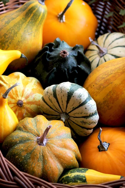 Pumpkins in a basket — Stock Photo, Image