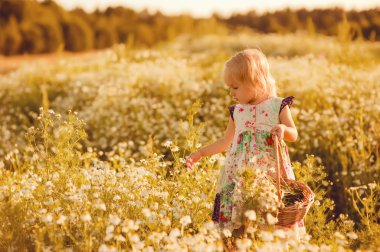 gün batımı ile çayır üzerinde küçük kız