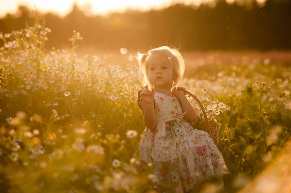 Child outdoors in summer  field — Stock Photo, Image