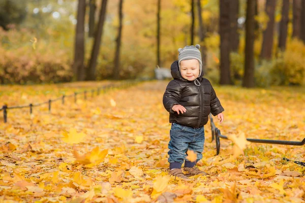 Foto de lindo niño disfrutando de la naturaleza otoñal, bonito bebé p —  Fotos de Stock