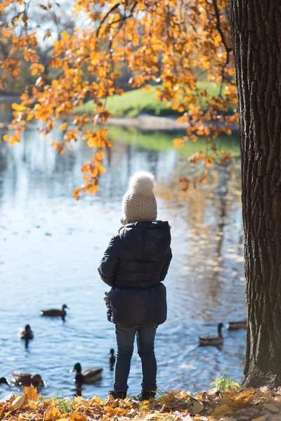 Little girl feeding the ducks in the autumn park — Stock Photo, Image