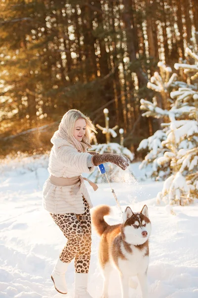 Jente som omfavner en søt hund i vinterparken. Jenta med sibiri. – stockfoto