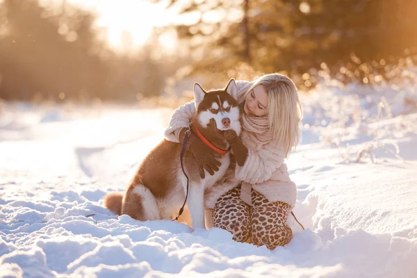 Ragazza abbracciando cane carino nel parco invernale. La ragazza con i siberi — Foto Stock