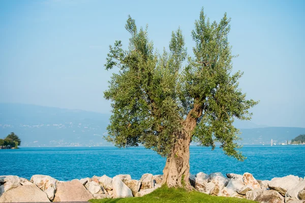 Ciudad de Salo en el lago de Garda, Italia — Foto de Stock