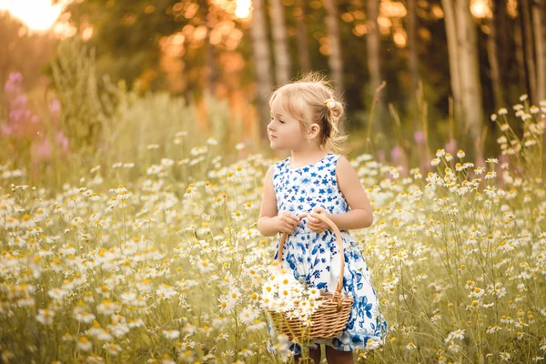 Little girl on meadow with sunset — Stock Photo, Image