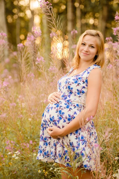 Mulher grávida bonito em um campo — Fotografia de Stock