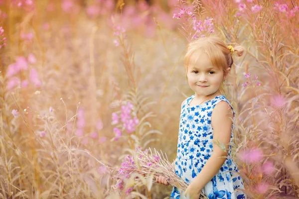 Schattig klein meisje lachen in een weide - gelukkig meisje — Stockfoto