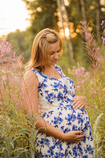 Mignonne femme enceinte dans un champ — Photo