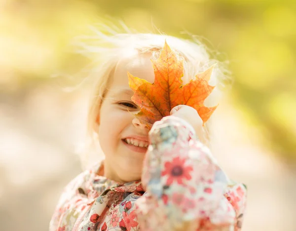 Schattig klein meisje in de herfst park — Stockfoto