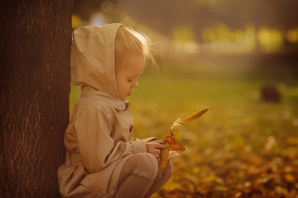 Niña en otoño sosteniendo hojas — Foto de Stock