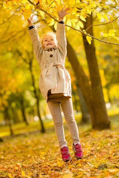 Divertimento autunnale - bella ragazza si diverte nelle foglie autunnali, bambino felice — Foto Stock