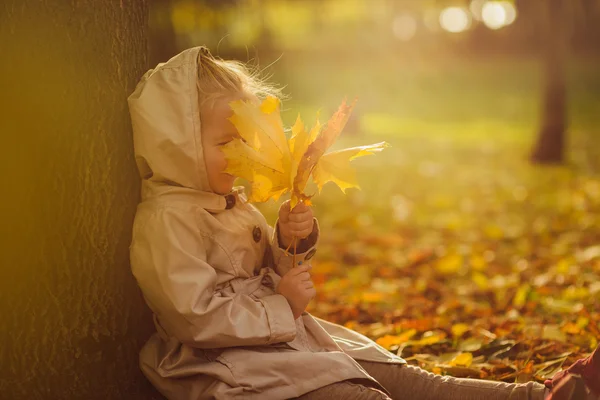 Liten flicka under hösten med blad — Stockfoto