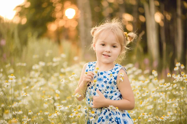 Petite fille sur prairie avec coucher de soleil — Photo