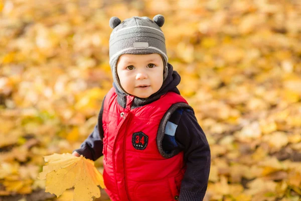 日当たりの良い d で秋の公園で黄色の葉で遊ぶ少年 — ストック写真