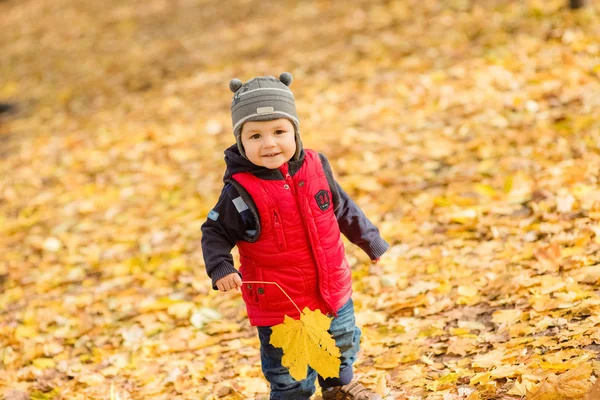 Menino pequeno brincando com folhas amarelas no parque de outono em — Fotografia de Stock