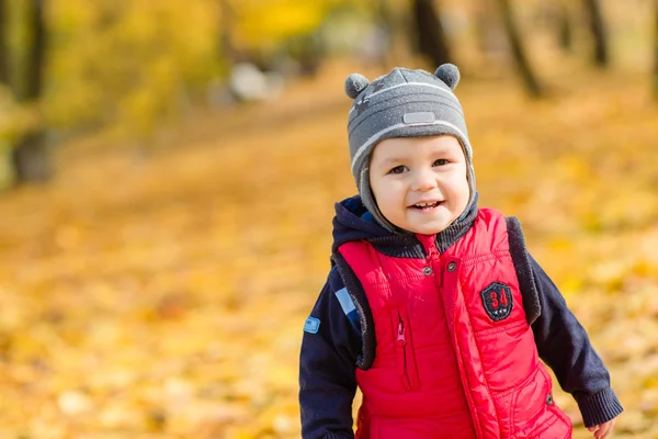 Retrato de menino bonito apreciando a natureza do outono, infan bonita — Fotografia de Stock