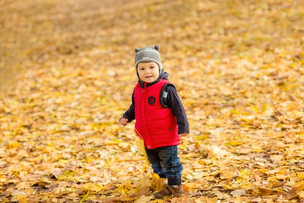 Little boy in autumn — Stock Photo, Image