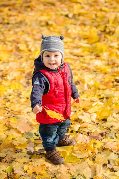 Kleine babyjongen spelen met geel laat in de herfst park op zon Rechtenvrije Stockfoto's