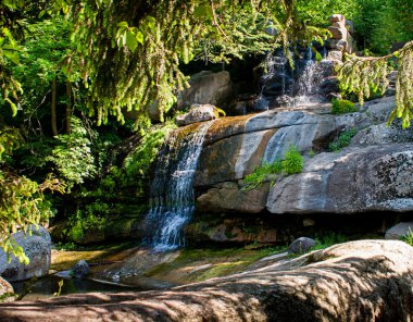 Ormanda küçük bir şelale