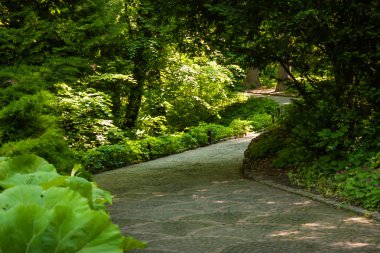 Parkta yürüyüş yolu