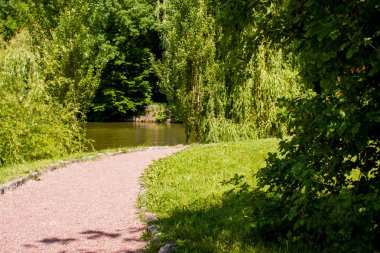 Parkta yürüyüş yolu