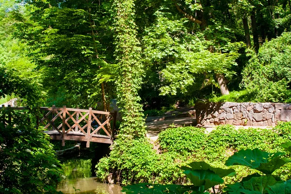 Drewniany most w lesie — Zdjęcie stockowe