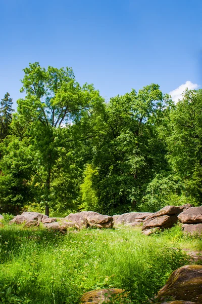 公园里的大石头 — 图库照片