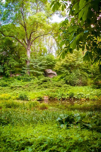 Staw, wśród lasów liściastych — Zdjęcie stockowe