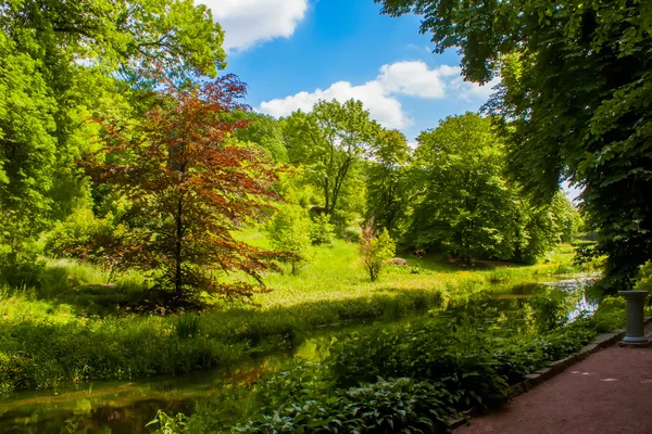 Étang parmi la forêt de feuillus — Photo