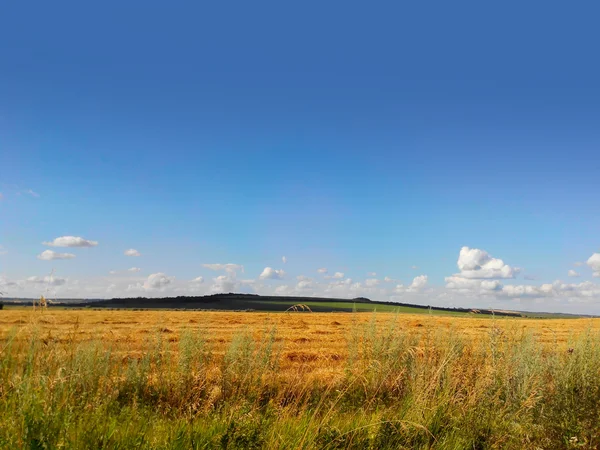 Dia de campo amarelo Imagens De Bancos De Imagens