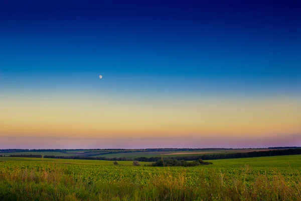 Beau paysage de soirée d'été — Photo