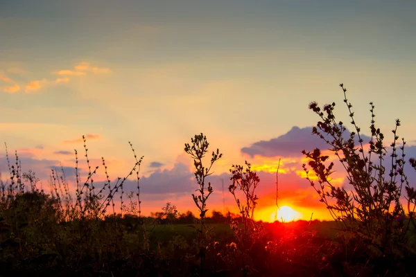 Photographie de paysage coucher de soleil — Photo