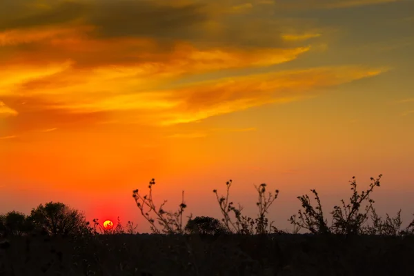 Photographie de paysage coucher de soleil — Photo