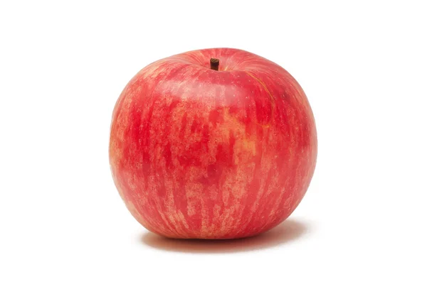Реальну яблучний — стокове фото