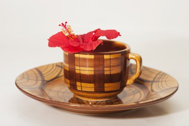 büyük kırmızı çiçek b