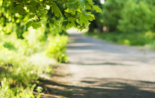 eski yol 1 görünümünü