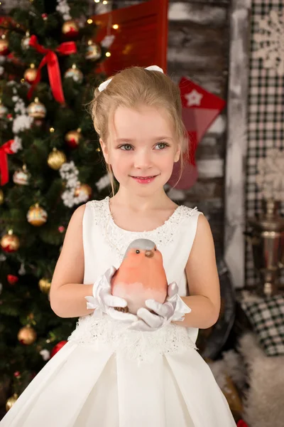 Bonito menina bonita jovem usa vestido de Natal. Ela tem um pouco. — Fotografia de Stock